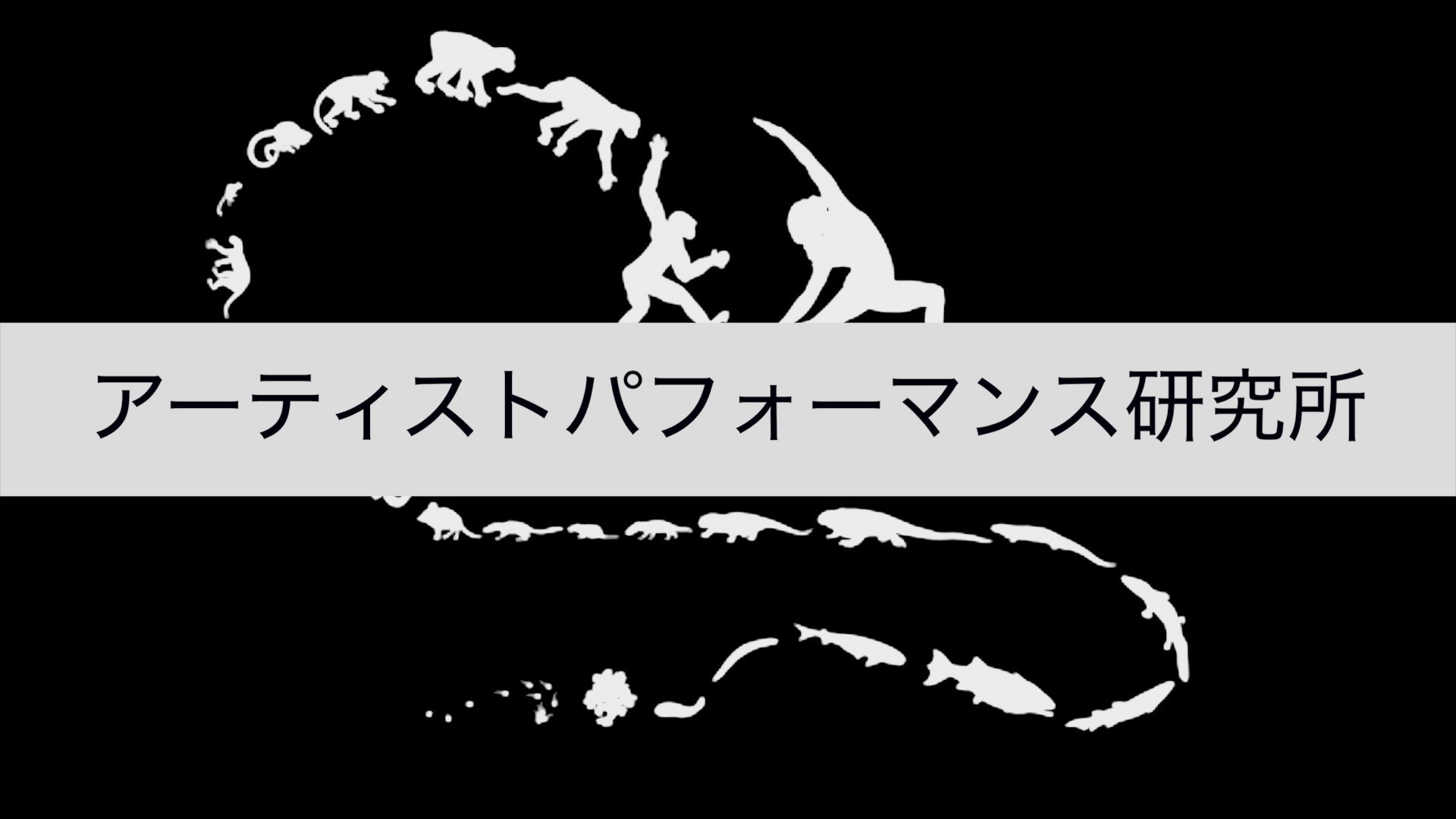 アーティストパフォーマンス研究所 